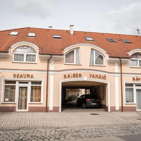 Kaiser Panzio 3*